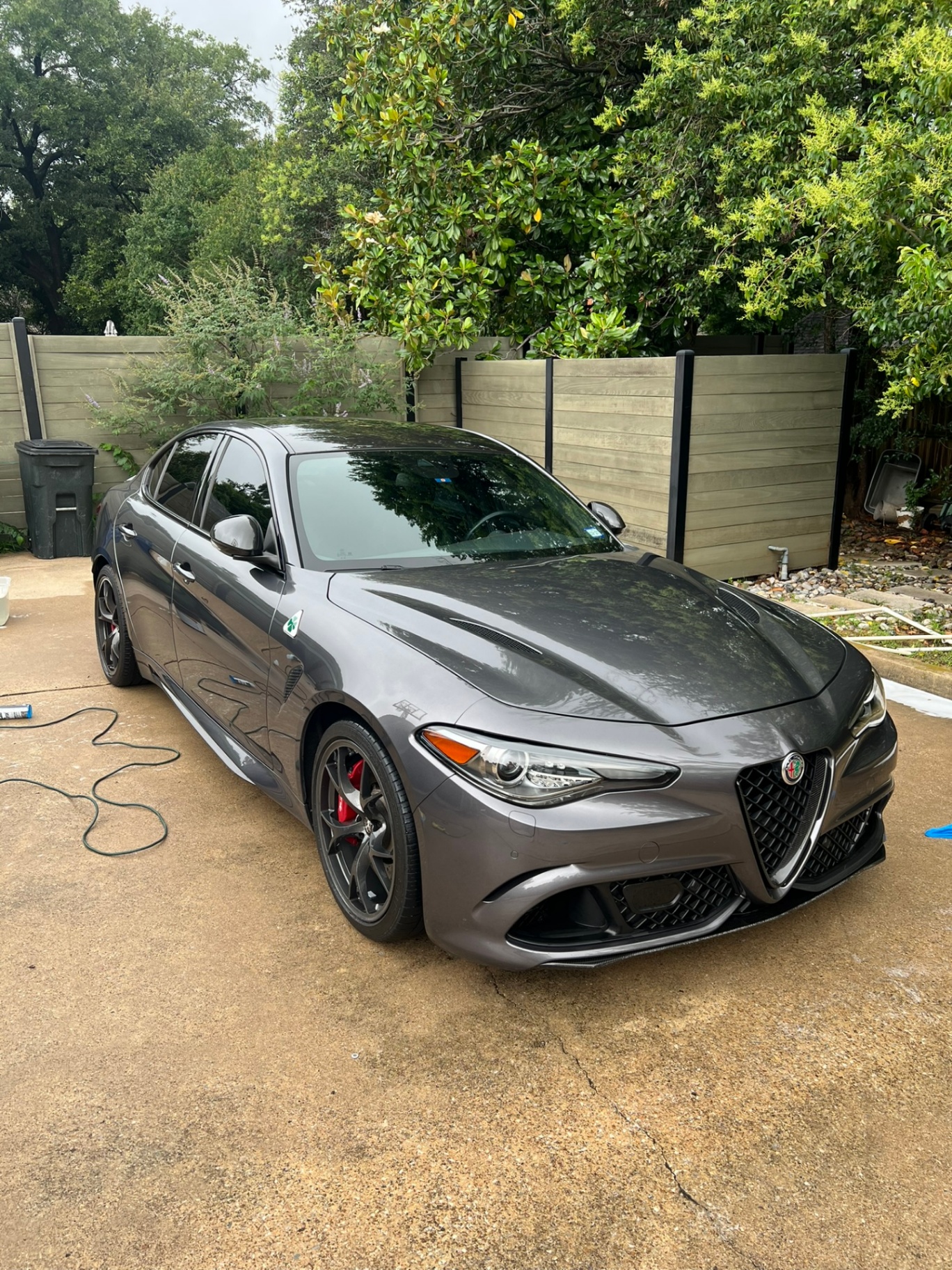 Alfa Romeo Giulia Quadrifoglio after a fresh detail